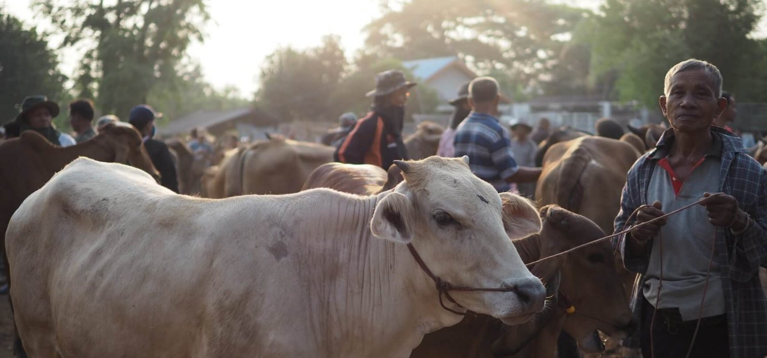 31218659_1678572002208452_6638504321182859264_o